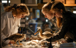 Recherche sur les animaux : considérations éthiques importantes à connaître